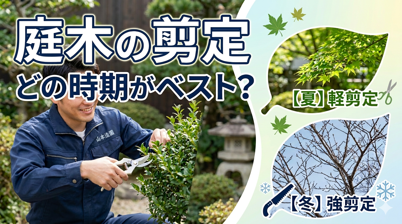 庭木の剪定、どの時期がベスト？プロが教える年2回の目安